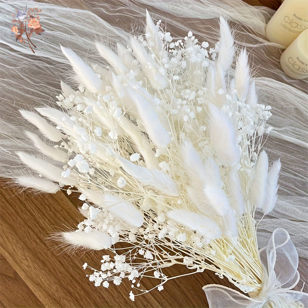 Baby Breath Dried - 54Pcs White Dried Flower Bridal Mariage