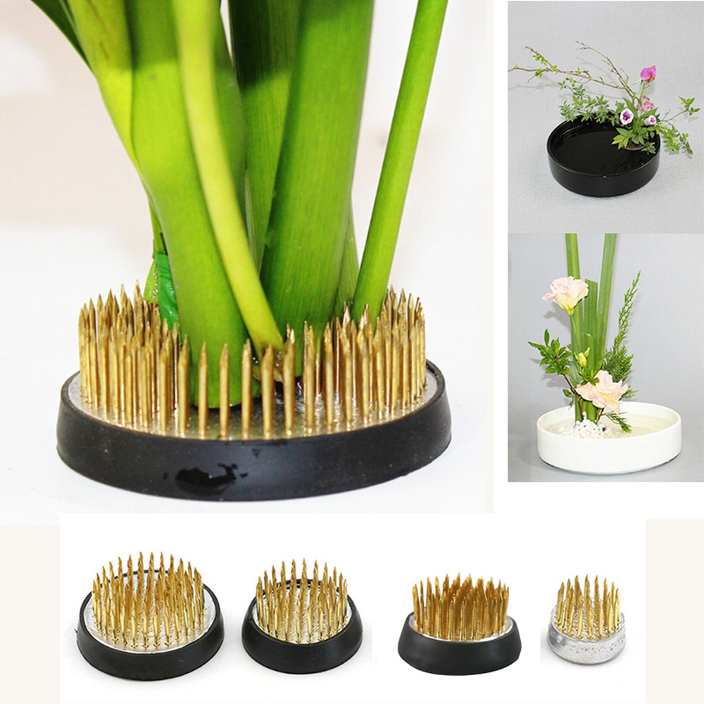 Rubber Needle Kenzan Floral Ar - Flower Frog Pin review and price