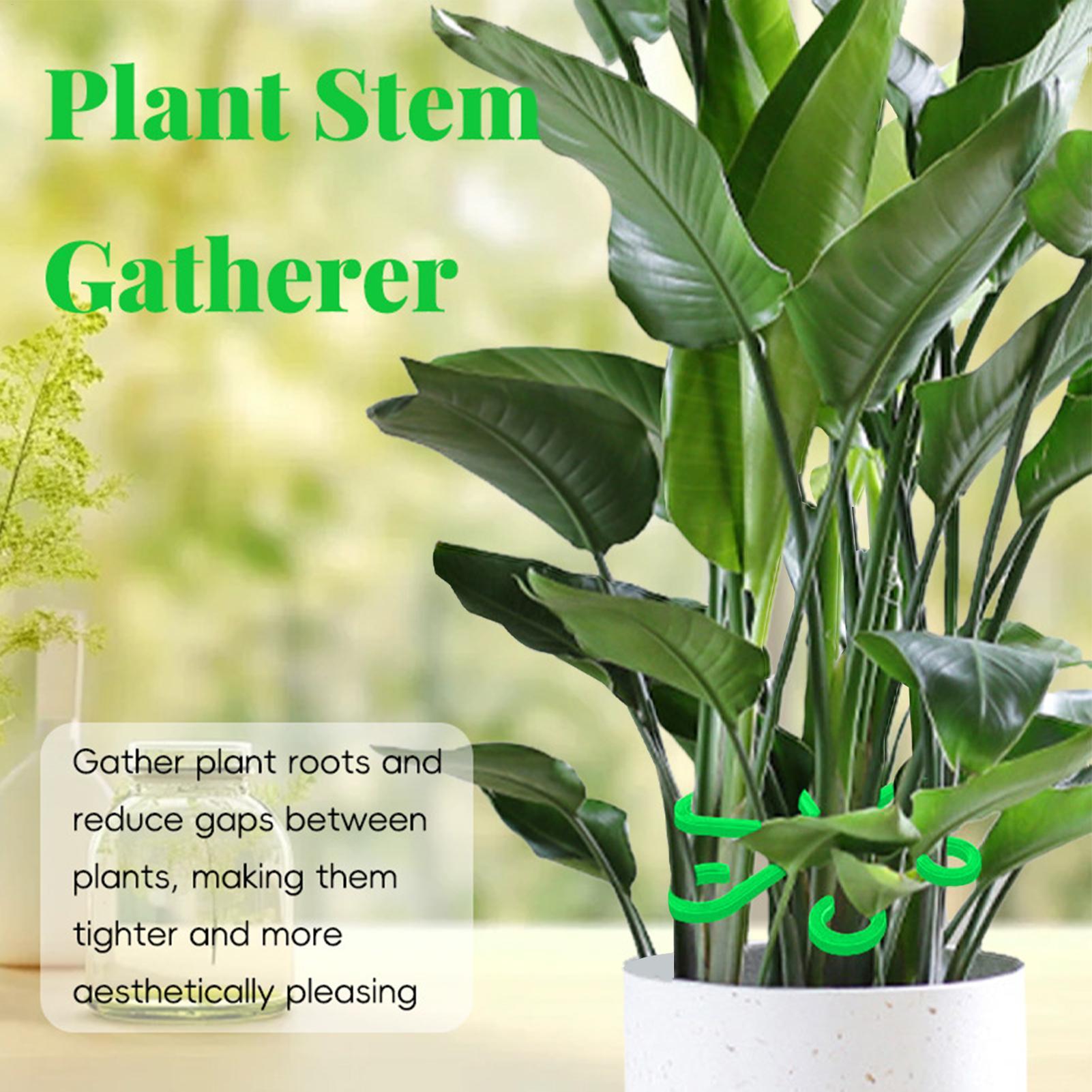 4pcs Plant Stem Support Clips  - Florist Supply Bulk review and price