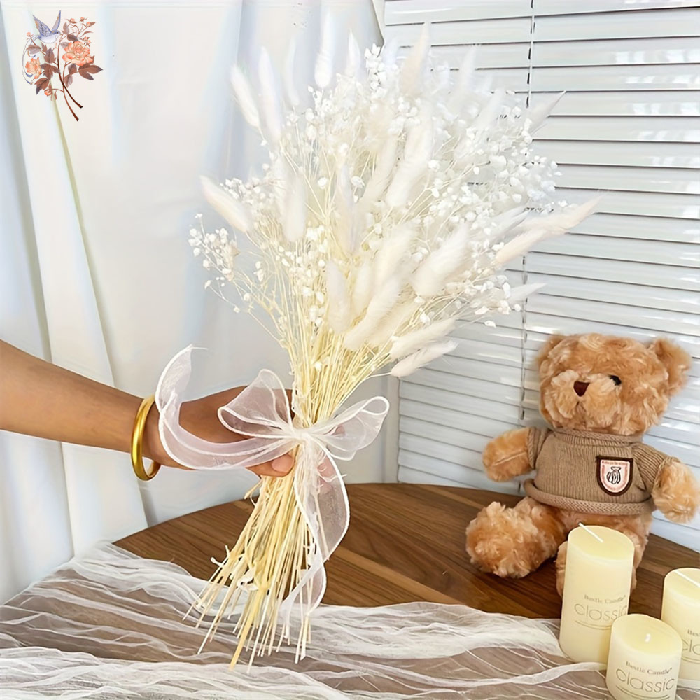 54Pcs White Dried Flower Brida - Baby Breath Dried review and price