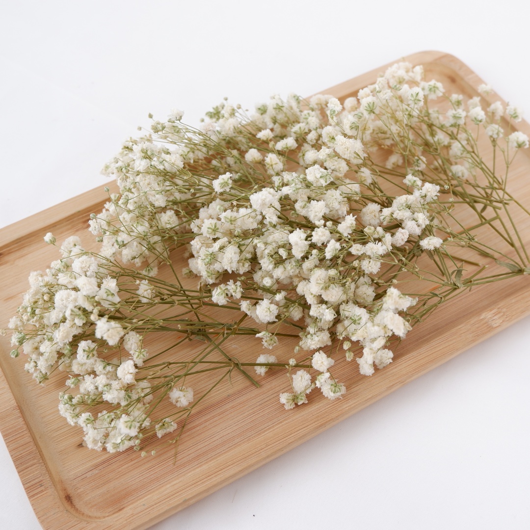 Dried Flowers White Mini Dried - Baby Breath Dried review and price