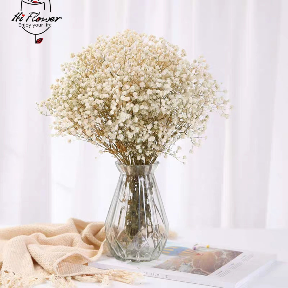 Natural Dried Flowers Preserve - Baby Breath Dried review and price