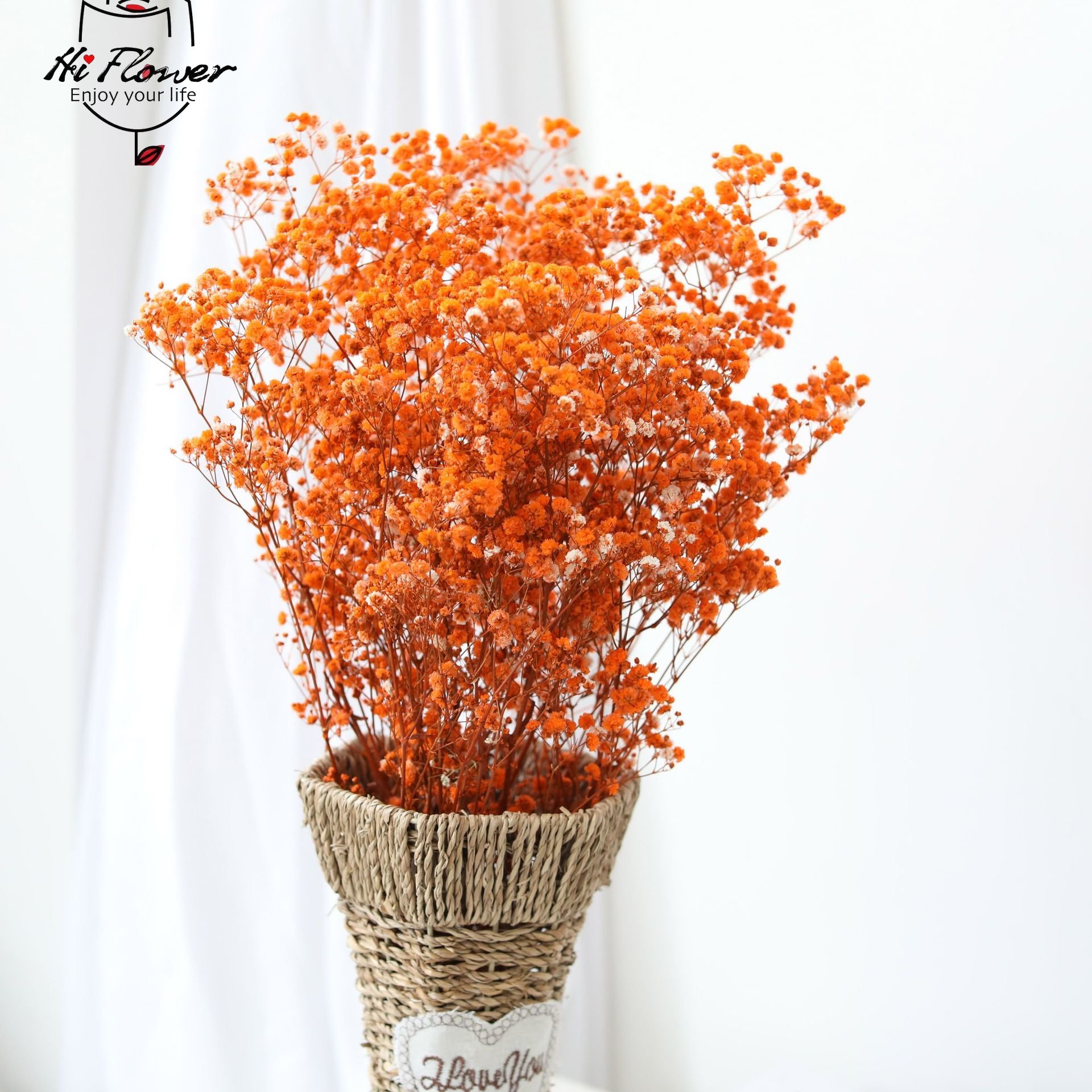 Natural Dried Flowers Preserve - Baby Breath Dried review and price