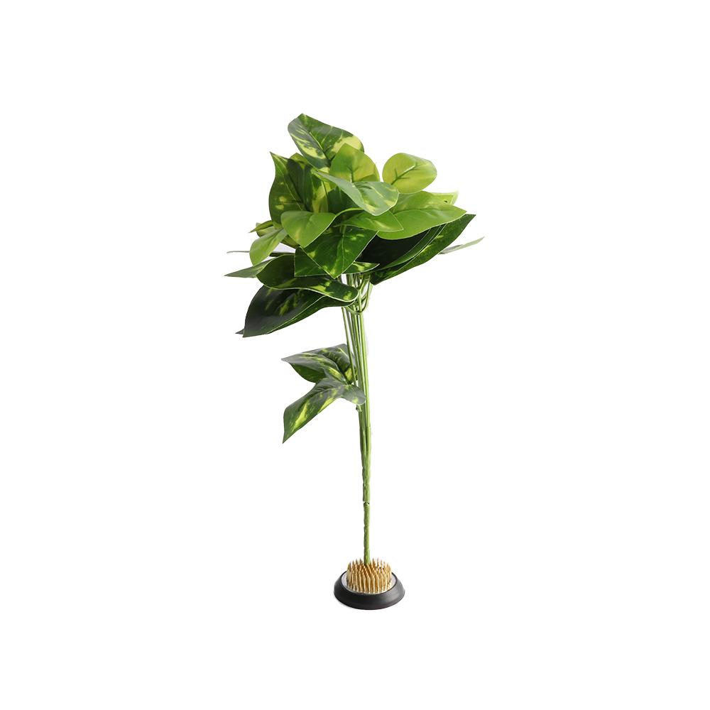 Rubber Kenzan Spiky Needle Flo - Flower Frog Pin review and price