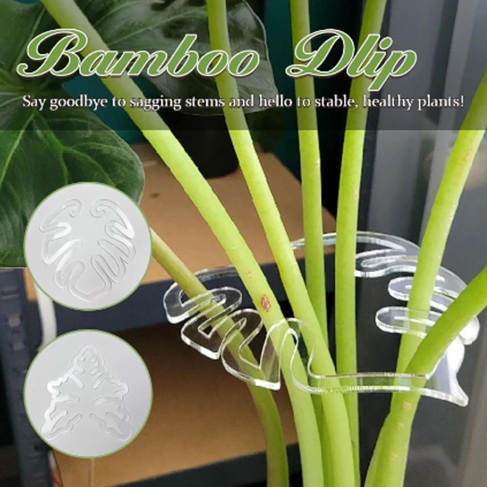 1/2PCS Reusable Turtle Shell B - Florist Supply Bulk review and price