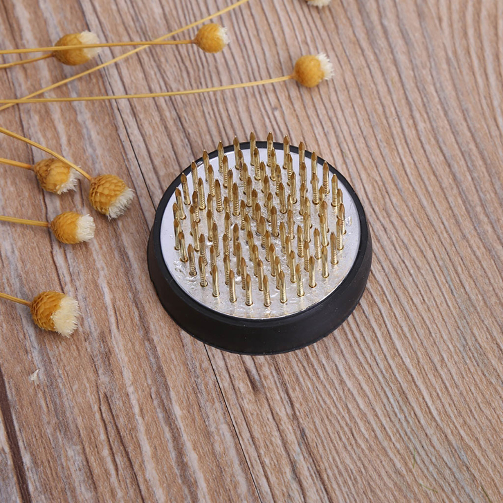 Rubber Kenzan Spiky Needle Art - Flower Frog Pin review and price
