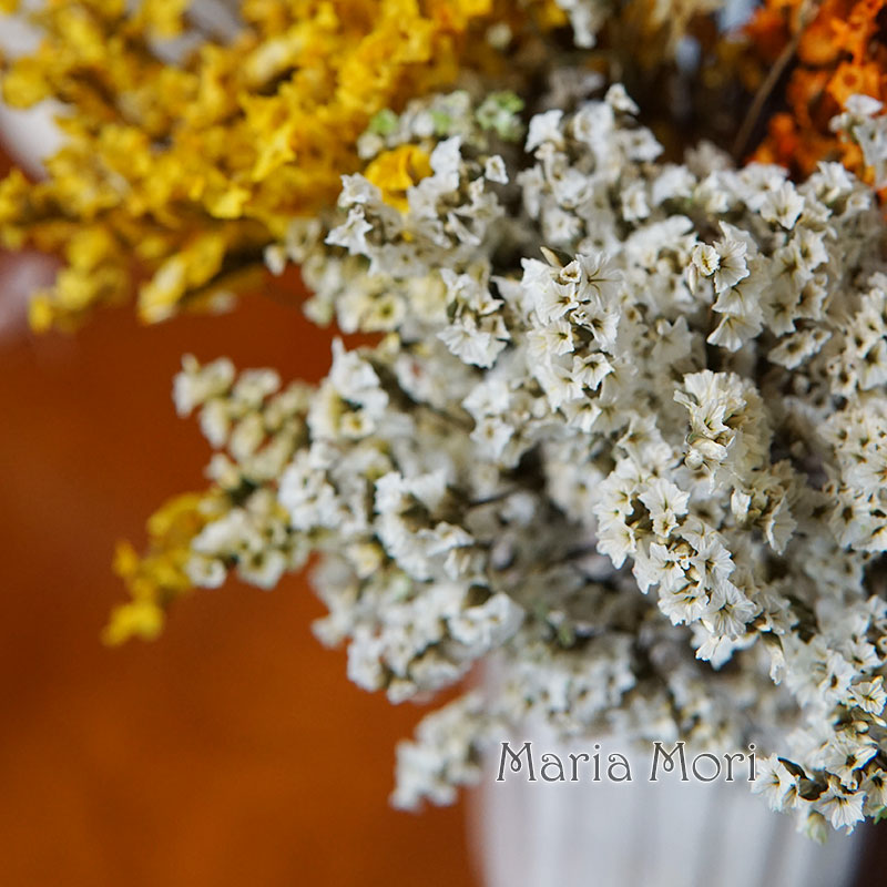 5g/ Colorful Dired Preserved C - Baby Breath Dried review and price
