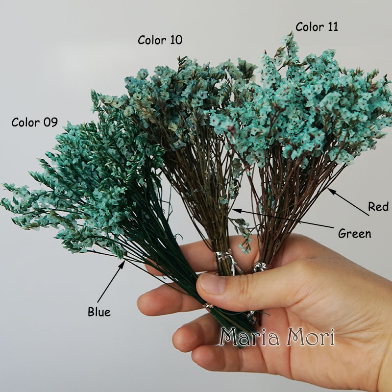5g/ Colorful Dired Preserved C - Baby Breath Dried review and price