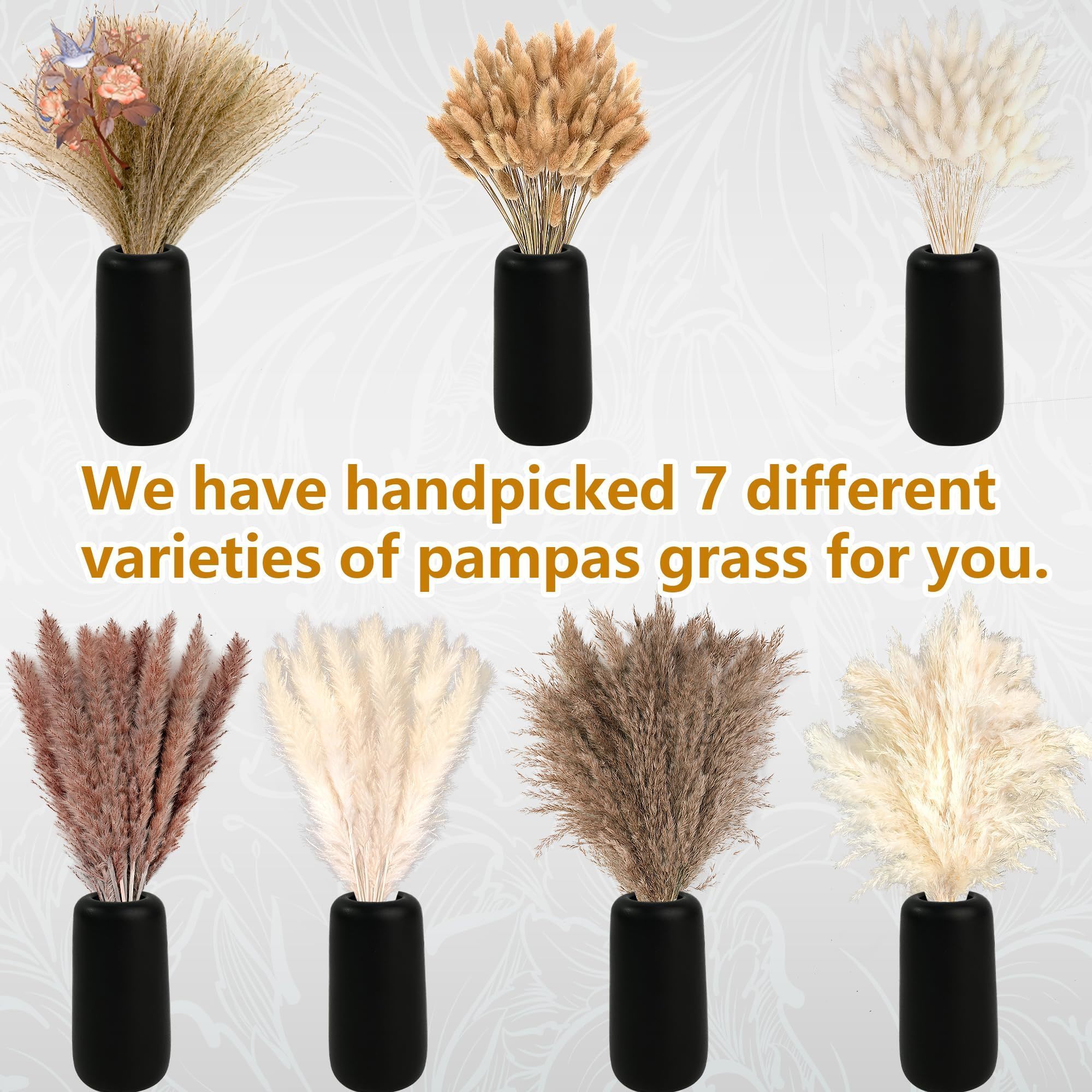 300Pcs Natural Large Pampas Gr - Baby Breath Dried review and price