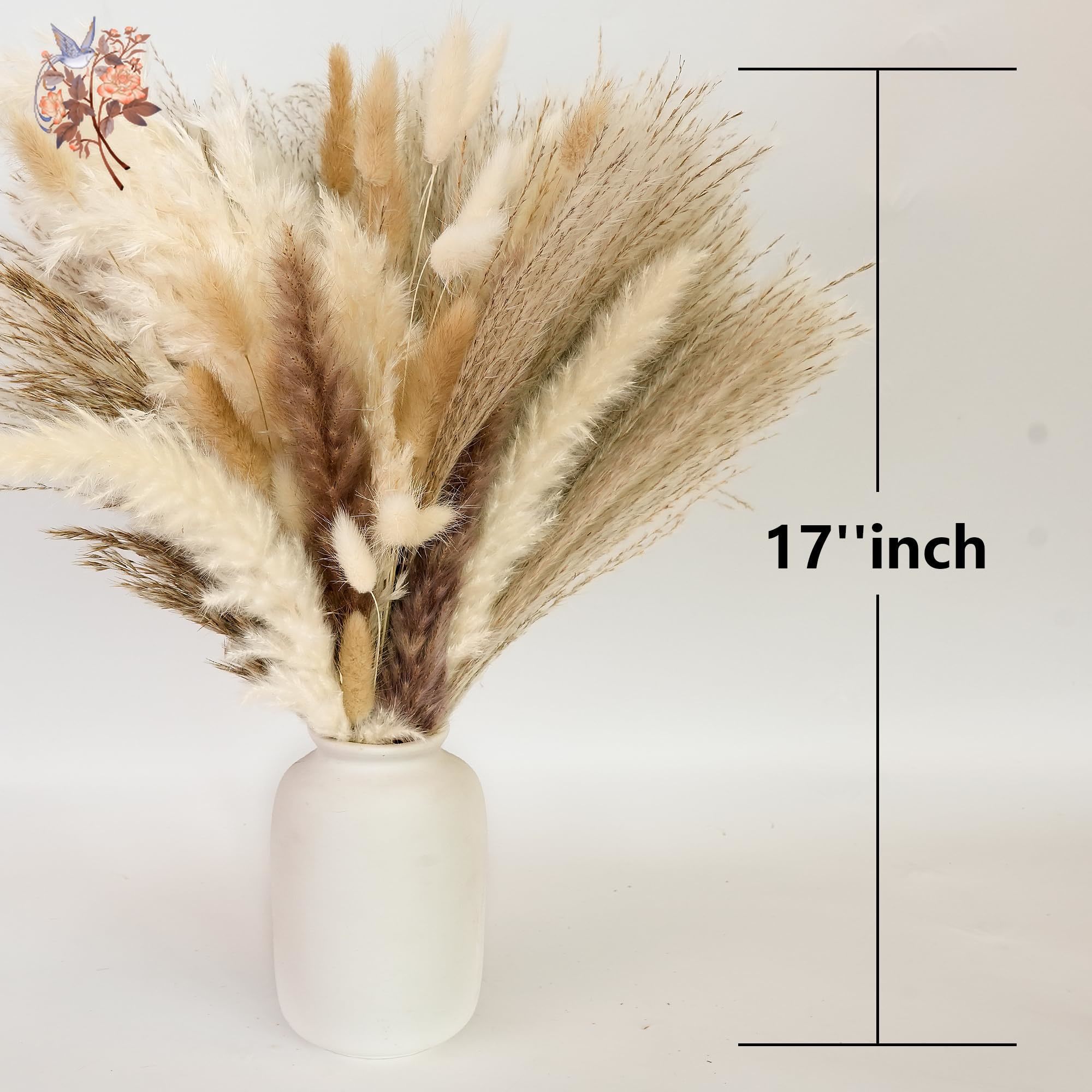 300Pcs Natural Large Pampas Gr - Baby Breath Dried review and price