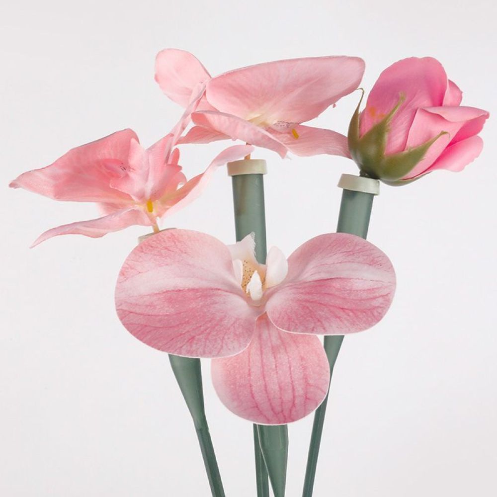 Floral Preservative Tubes Tran - Florist Supply Shop review and price