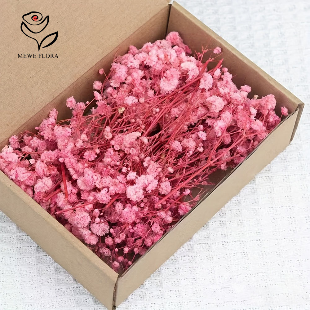 100 Small Branch Dried Baby's  - Baby Breath Dried review and price
