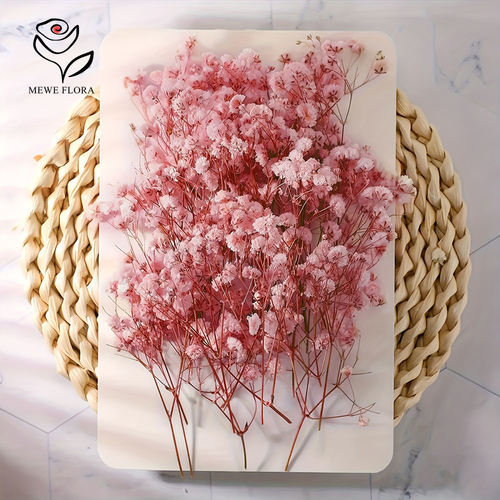 100 Small Branch Dried Baby's  - Baby Breath Dried review and price