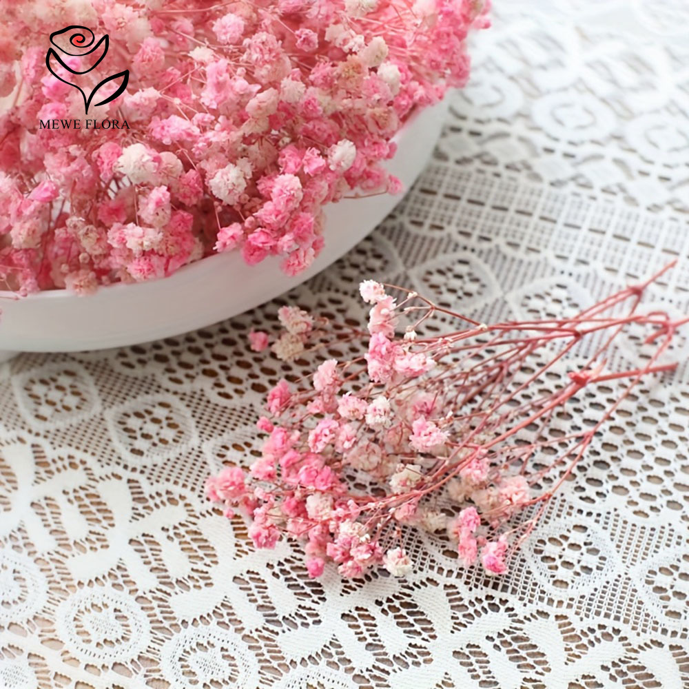 100 Small Branch Dried Baby's  - Baby Breath Dried review and price