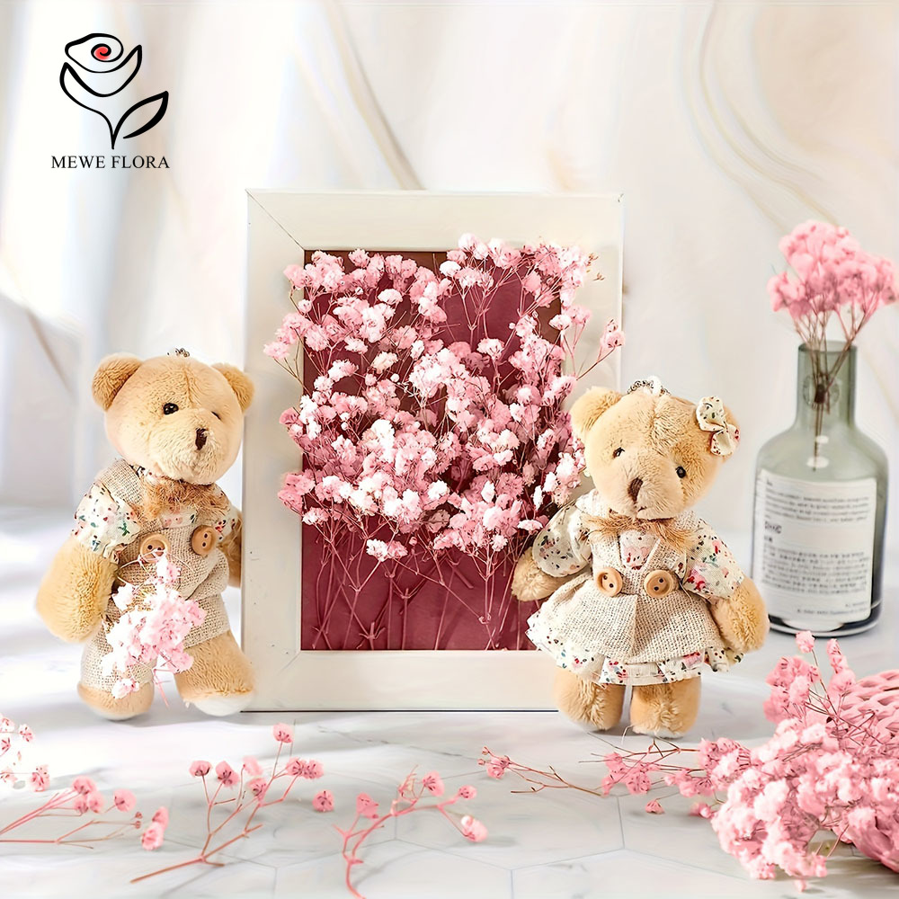 100 Small Branch Dried Baby's  - Baby Breath Dried review and price